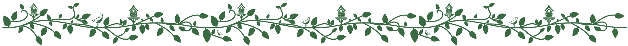 flower_border